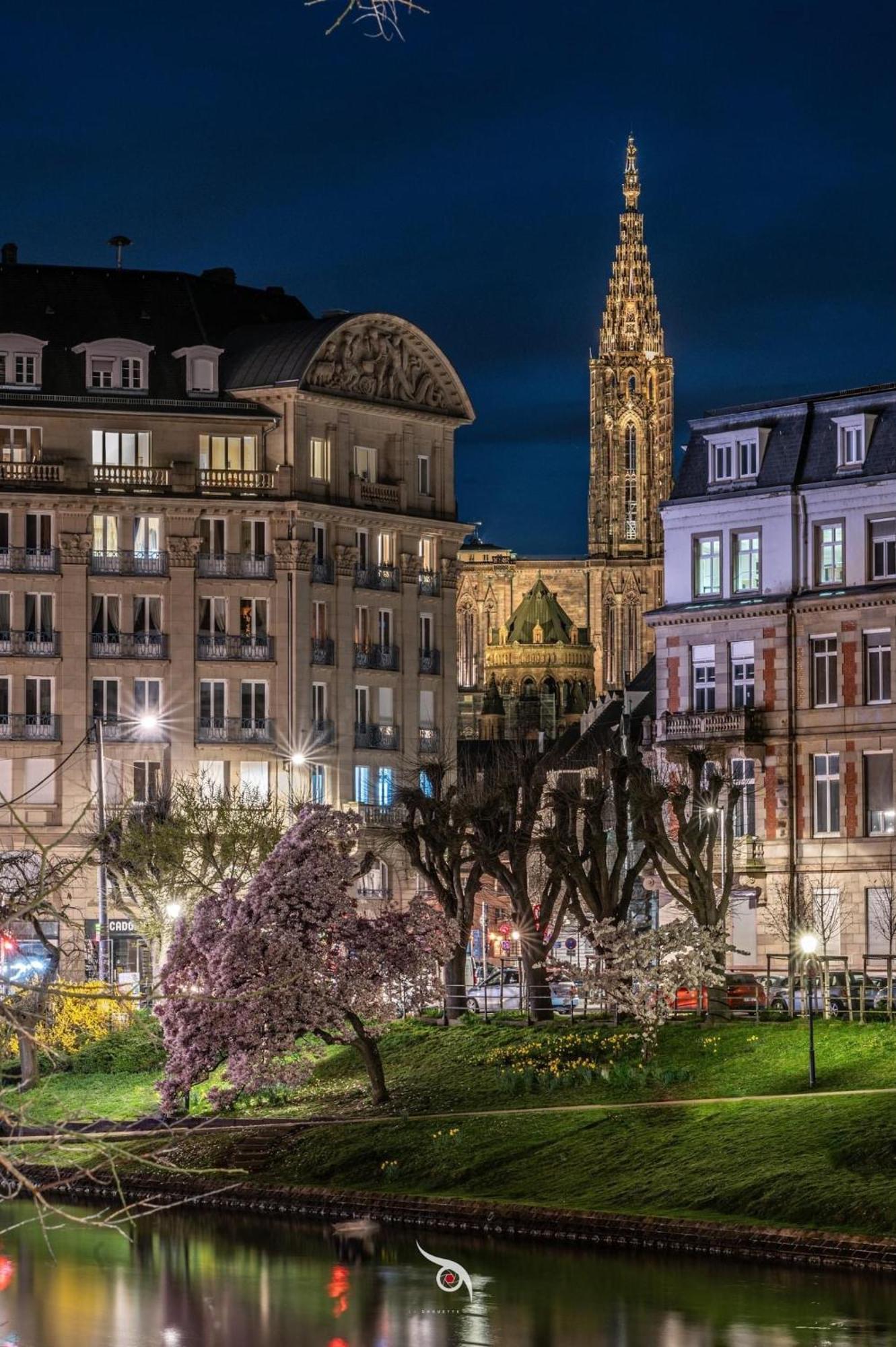 Appart & Studio Hyper Centre De Strasbourg - Proche Cathedrale & Petite France Exterior photo