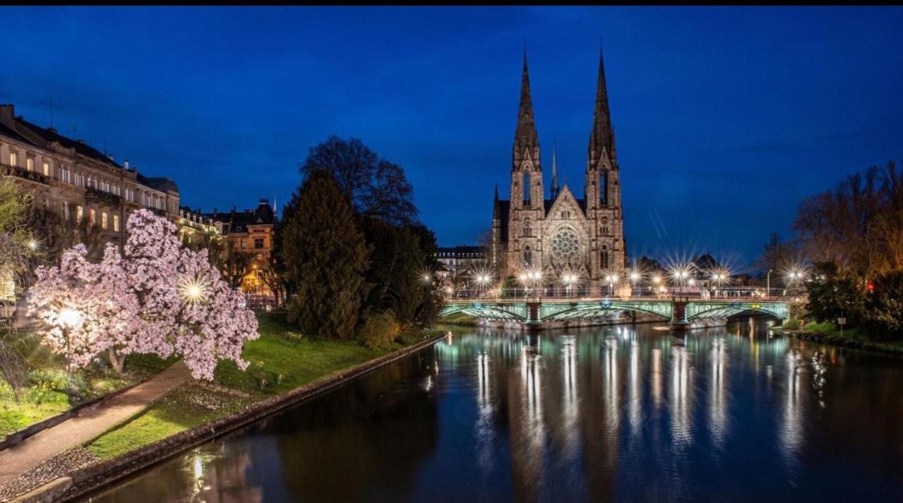 Appart & Studio Hyper Centre De Strasbourg - Proche Cathedrale & Petite France Exterior photo