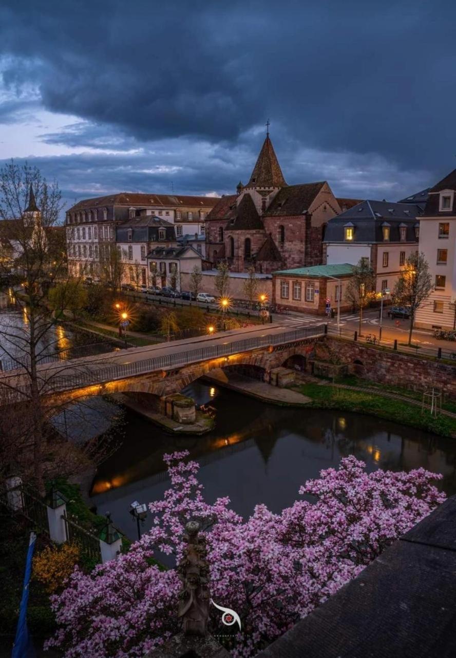 Appart & Studio Hyper Centre De Strasbourg - Proche Cathedrale & Petite France Exterior photo